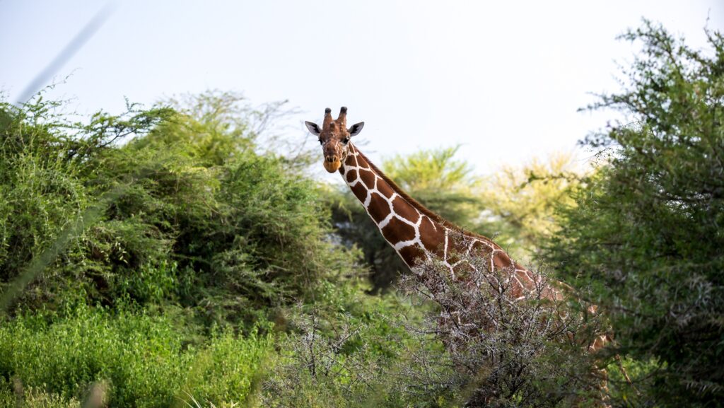 Nairobi, Kenya