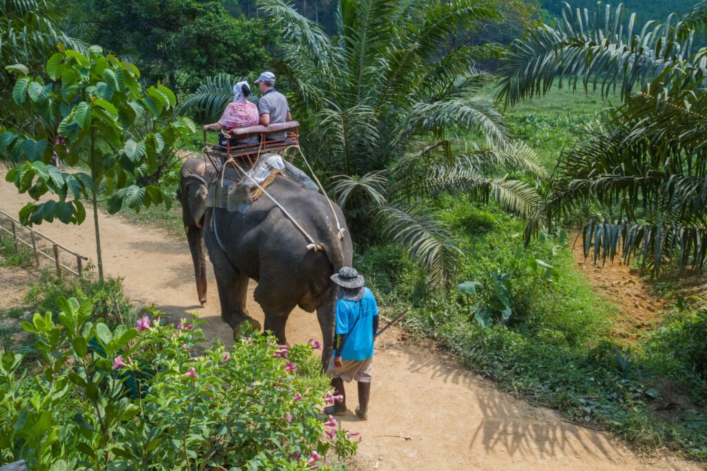 Chang Mai, Thailand