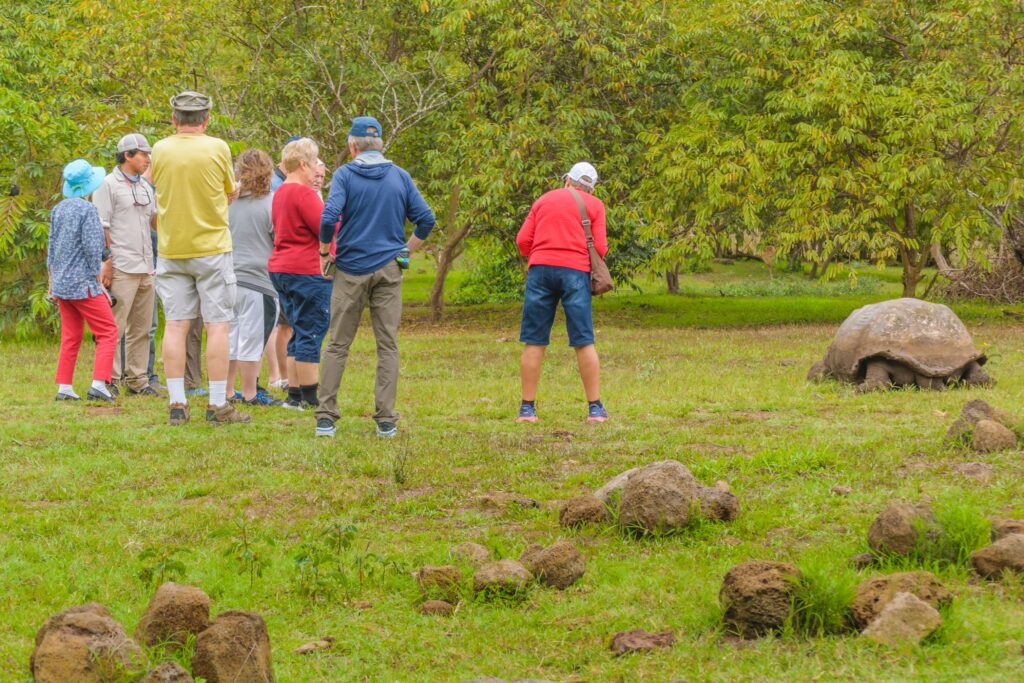 Galapagos Islands